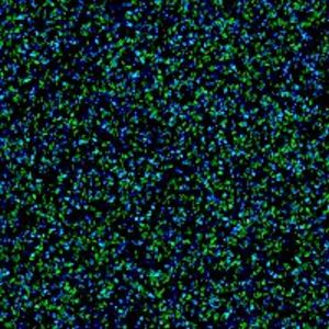 ZD 20 Cascade